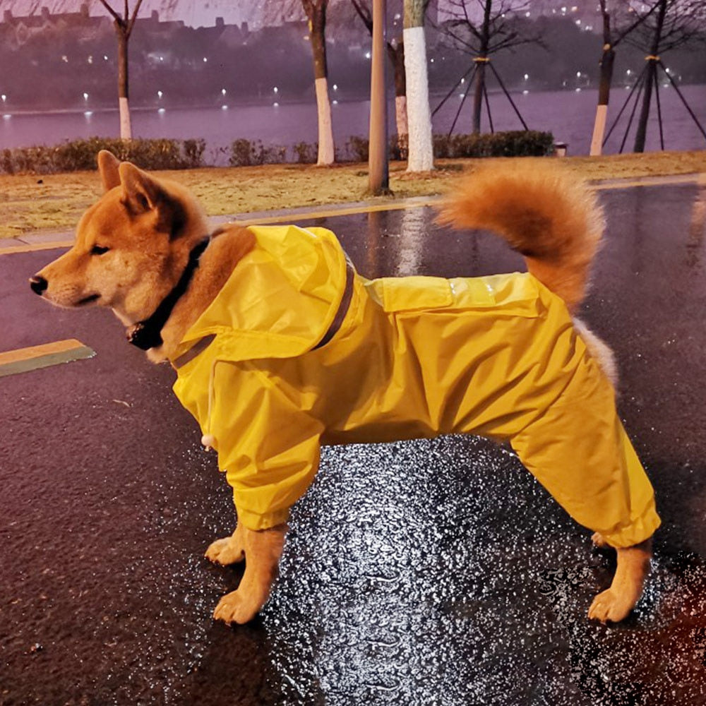 Fur Babies - Large Raincoat