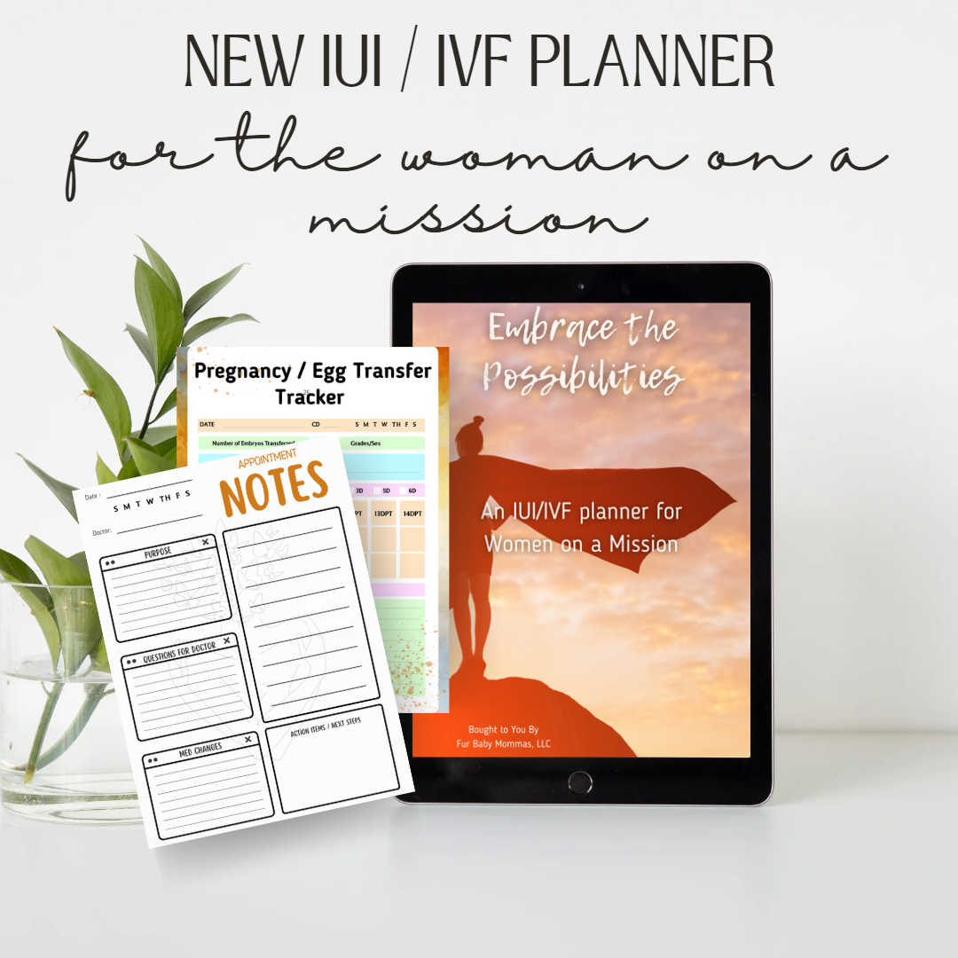 Embrace the Possibilities - An IUI/IVF Planner for Women on a Mission (Digital Download)