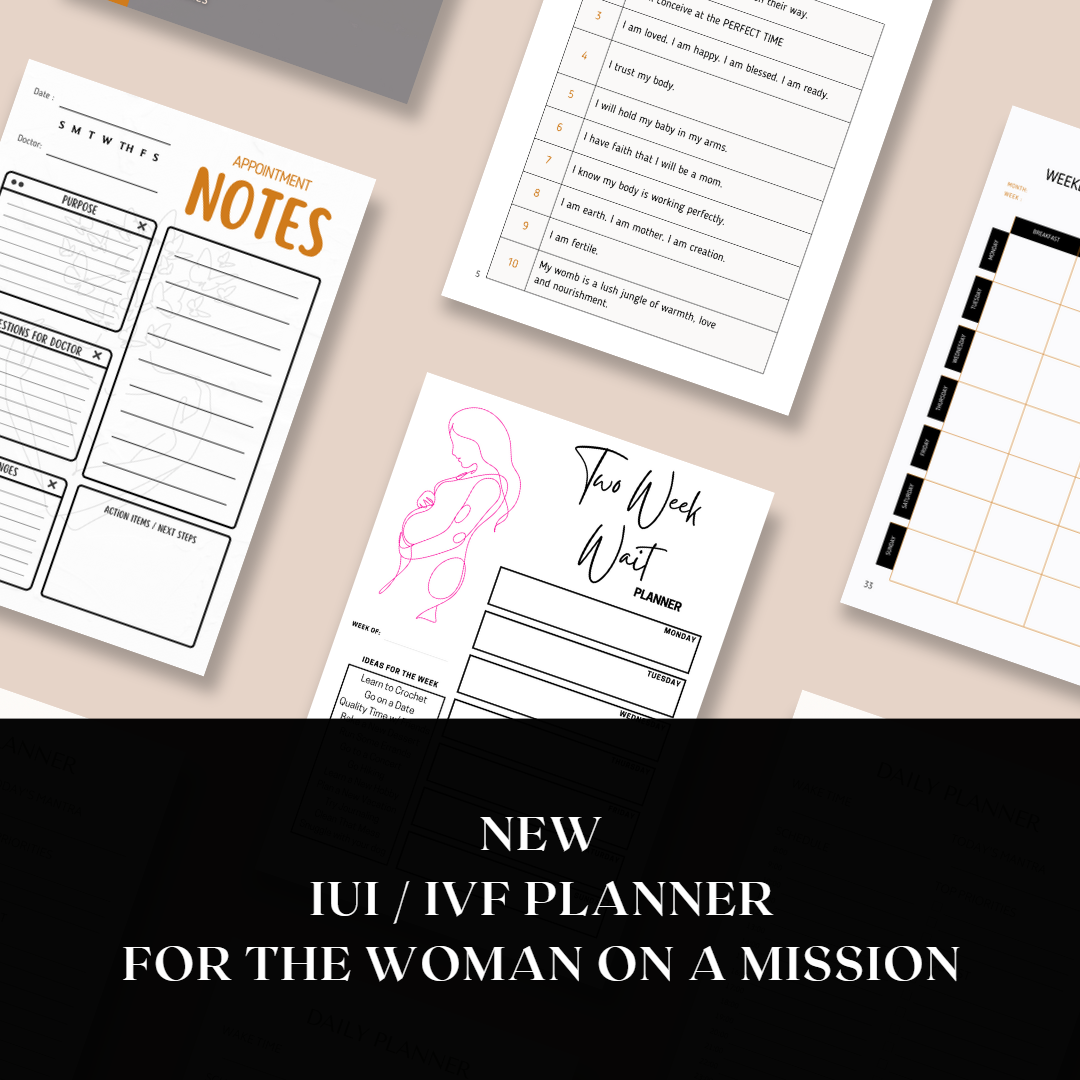 Embrace the Possibilities - An IUI/IVF Planner for Women on a Mission (Digital Download)