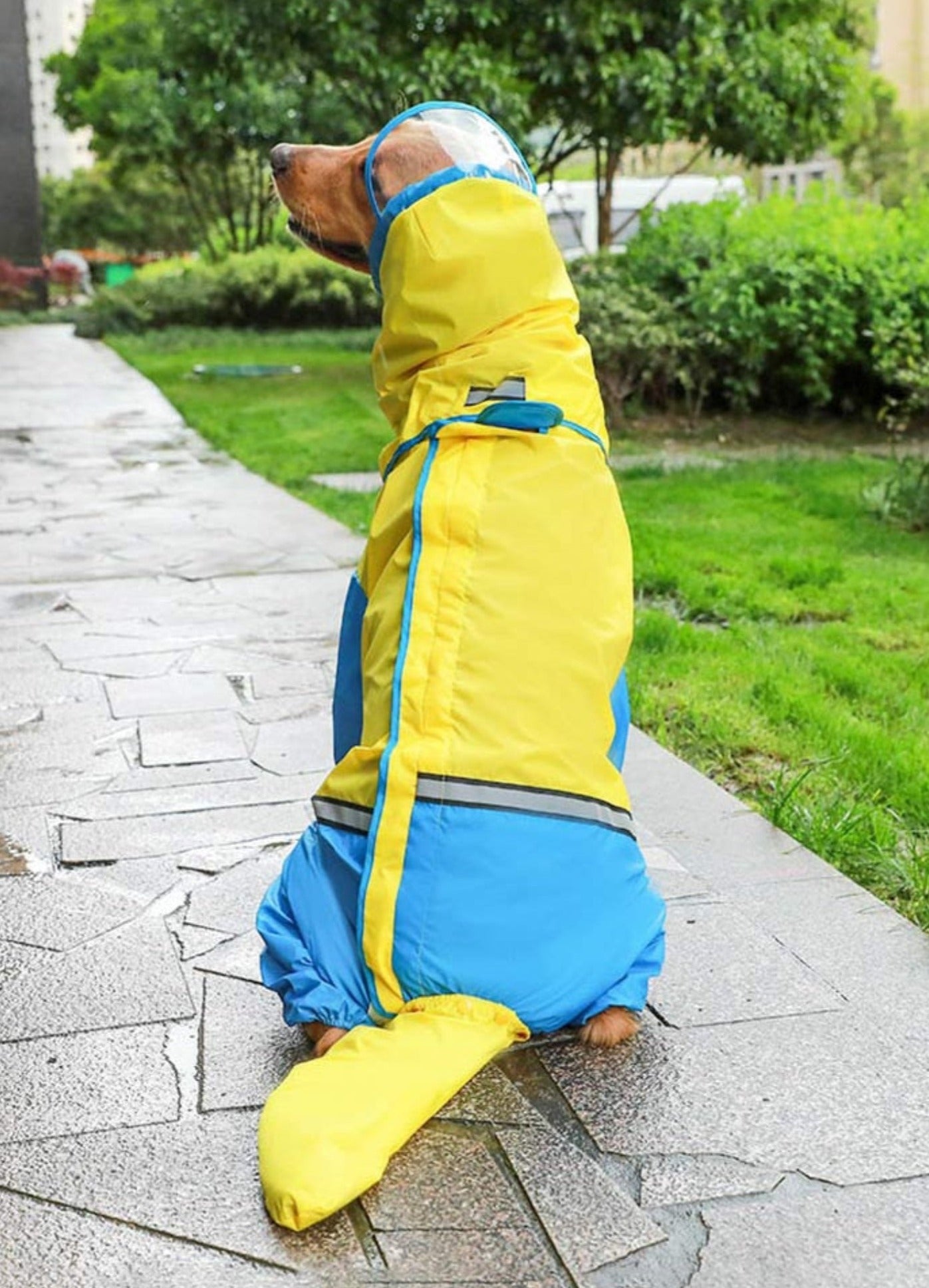 Fur Babies - Large Raincoat