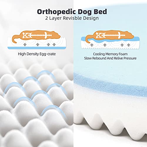 Fur Baby Memory Foam Beds with Sides