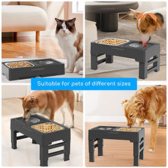 Fur Baby 2-in-1 Elevated Bowl with No Spill Dog Water Bowl