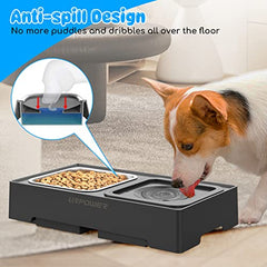 Fur Baby 2-in-1 Elevated Bowl with No Spill Dog Water Bowl