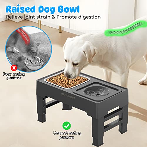 URPOWER Raised Slow Feeder Dog Bowls 4 Height Adjustable Elevated Dog Bowls  with Stainless Steel Dog Water Bowl and Dog Slow Feeder Non-Slip Dog Food